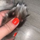 Секс знакомства в г Санкт-Петербург