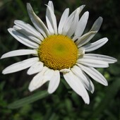 Секс знакомства в г Торез