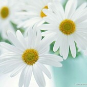 Секс знакомства в г Санкт-Петербург