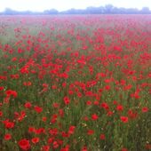 секс знакомства в г Москва