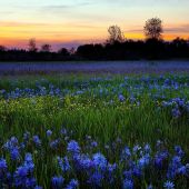 Секс знакомства в г Полтава