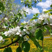 Секс знакомства в г Санкт-Петербург