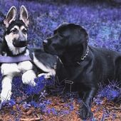 Секс знакомства в г Челябинск