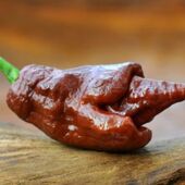 Секс знакомства в г Москва