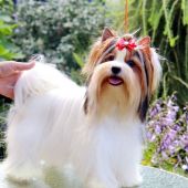 Секс знакомства в г Бобруйск