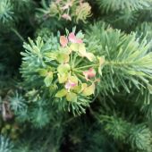 Секс знакомства в г Санкт-Петербург