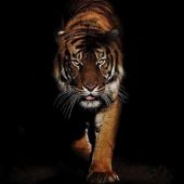 Секс знакомства в г Санкт-Петербург