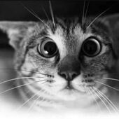 Секс знакомства в г Новороссийск