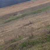 Секс знакомства в г Саратов