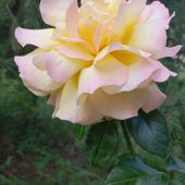 Секс знакомства в г Санкт-Петербург